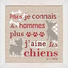 Chiens/Chats
