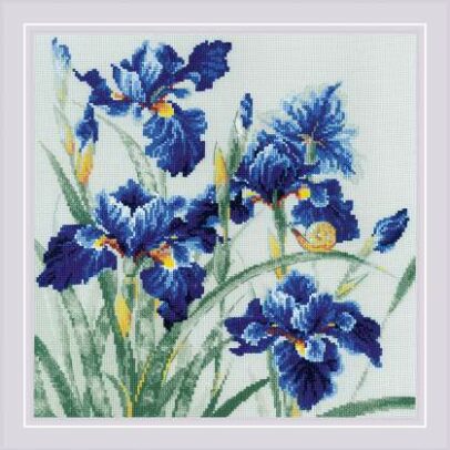 Kit Points Comptés “Iris”