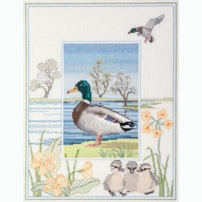Kit Points Comptés “Canard Mallard”