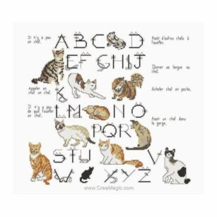 Kit Points Comptés "Expression de Chats"